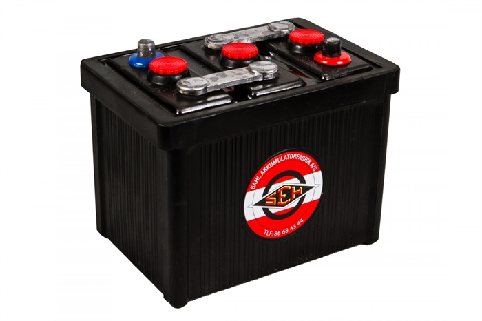 Veteranbatteri 6V120AH-450A(265x174x217mm)12018